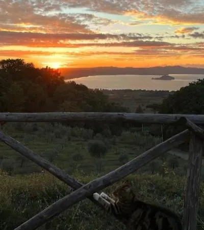 Le Casette Sul Farm stay Montefiascone